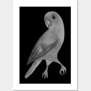 Black and white parrot Posters and Art